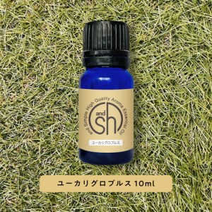 アロマ 100%ピュア &SH アロマ エッセンシャルオイル ( 精油 ) ユーカリグロブルス 10ml アロマオイル -定形外送料無料-