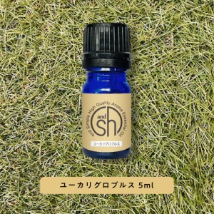 アロマ 100%ピュア &SH アロマ エッセンシャルオイル ( 精油 ) ユーカリグロブルス 5ml アロマオイル [ 卓上 ] -定形外送料無料-