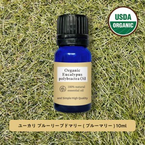 &sh アロマ エッセンシャルオイル ユーカリ ブルーリーブドマリーオイル 10ml -定形外送料無料-