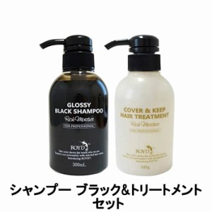 ブライセス ロイド カラーシャンプー グロッシーブラック 300ml & カバー&キープ トリートメント 300ml セット [ royd ]