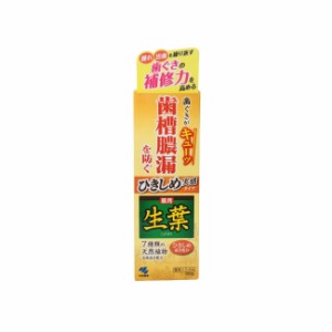 小林製薬 生葉ひきしめ実感タイプ 100g [ 医薬部外品 しょうよう 薬用ハミガキ 歯磨き粉 ] -定形外送料無料-