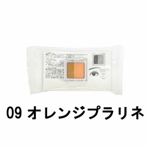 ORBIS オルビス ツイングラデーションアイカラー N 09 オレンジプラリネ ケース入り [ オルビス化粧品 おるびす アイシャドウ アイシャド