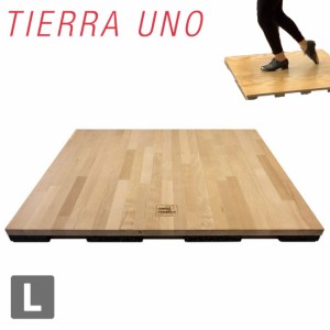 TIERRA UNO(ティエラウノ) ダンストレーニングボード  Lサイズ STEPB-L【メーカー直送品】 S M L SETP フラメンコ タップ タップダンス 