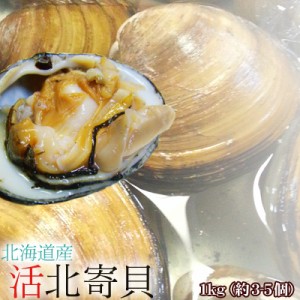 ほっき貝 活 送料無料 1kg(約3-5個) 北海道産 ホッキ貝 北寄貝 ※沖縄は送料別途加算