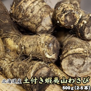 山わさび 土付き 北海道産 蝦夷山わさび 西洋わさび 500g 送料無料※沖縄は送料別途加算 ホースラディッシュ レホール 