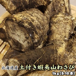 山わさび 土付き 北海道産 蝦夷山わさび 西洋わさび 1kg 送料無料※沖縄は送料別途加算 ホースラディッシュ レホール 