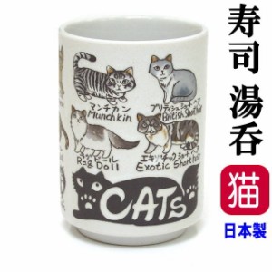湯呑 茶碗 猫 湯飲み YAMATO 寿司 ネコ 猫柄 茶碗 カップ コップ 280ml 磁器 日本製 食器 電子レンジOK 食洗器OK キッチングッズ