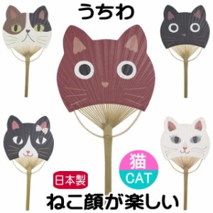 うちわ 団扇 猫柄 ウチわニャン面 猫顔 ネコ柄 ノアファミリー 日本製 ねこ ネコ 猫雑貨 猫グッズ レディース かわいい おしゃれ