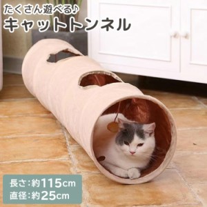 即納 猫 おもちゃ トンネル キャットトンネル ペット用品 内側 シャカシャカ 一人遊び 猫じゃらし ポンポン 窓 シンプル 無地 ダイエット