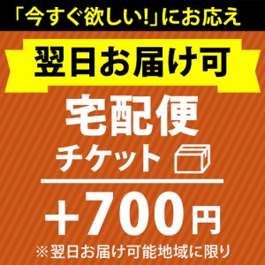 即日 発送服の通販 Au Pay マーケット