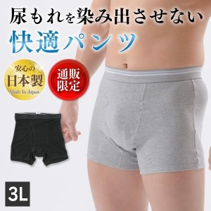 アシストデュアルパンツ 尿もれ パンツ 尿漏れ 失禁パンツ 男性用 失禁 失禁パンツ男性用 尿 しみ 汗 取り 3L