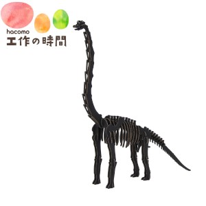 メール便送料無料 段ボール おもちゃ ハコモ 恐竜 ブラキオサウルス ブラック 4935 Dinosaur ダンボール工作 ペーパークラフト 知育 子供