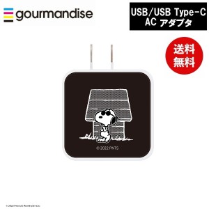 メール便送料無料 ジョー クール USB/USB Type-C ACアダプタ SNG-718B ピーナッツ グルマンディーズ 電源タップ ACタップ コンセント ス