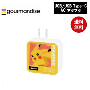 メール便送料無料 ポケモン ピカチュウ USB/USB Type-C ACアダプタ POKE-815A ポケットモンスター グルマンディーズ 電源タップ ACタップ