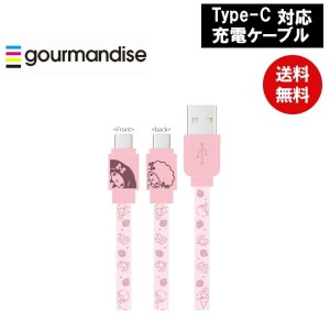 メール便送料無料 マイメロディUSB Type-C対応 同期＆充電ケーブル SANG-304MM サンリオ グルマンディーズ iPad iPod USB Lightningケー