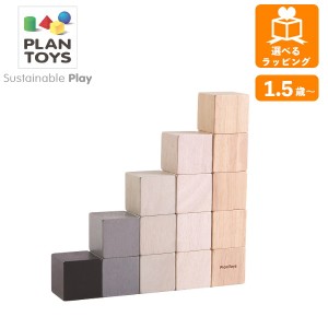 15キューブ 5374 プラントイ PLANTOYS パズル 積木 つみき 積み木 木のおもちゃ 木製玩具 知育玩具 ギフト プレゼント