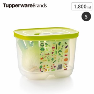 タッパー ベントスマートS #2 B0141 Tupperware タッパーウェア 【 野菜 果物 保存 保管 ストック 野菜ストッカー 冷蔵庫 野菜室 保存容