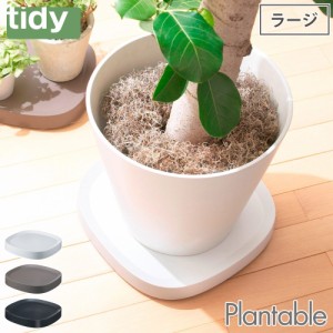 ティディ プランタブル L tidy Plantable アッシュコンセプト テラモト【 平台車 台 鉢皿 植木鉢 観葉植物 コンパクト 家庭用 室内 リビ