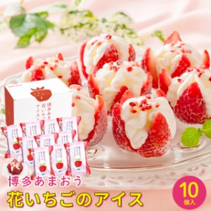 1133 新品種 香川県産夏イチゴ 香る苺/Scentberry/セントベリー