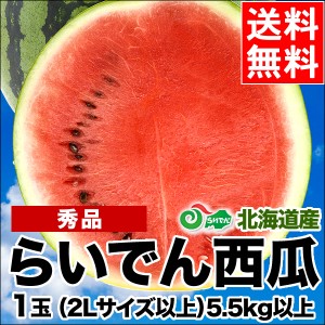 2024年 予約受付中 お中元 ギフト すいか 送料無料 北海道共和町産 らいでんすいか（秀品 2L〜4L 5.5kg以上） / 御中元 中元 暑中見舞い 