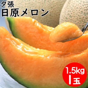 2024年 今季出荷中 ギフト メロン 送料無料 北海道夕張産 日原メロン(約1.5kg×1玉) / 北海道直送 産地直送 北海道産 夕張 赤肉メロン ゆ