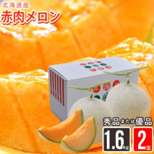 2024年 今季出荷中 メロン ギフト 送料無料 北海道産赤肉メロン 約1.6kg×2玉(優品または秀品) / 北海道産 道産 メロン めろん フルーツ 