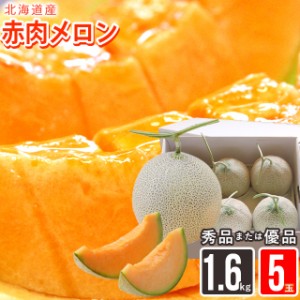 2024年 今季出荷中 メロン ギフト 送料無料 北海道産赤肉メロン 約1.6kg×5玉(優品または秀品) / 北海道産 道産 メロン めろん フルーツ 