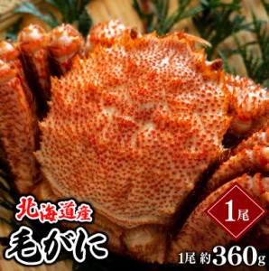 父の日 ギフト かに 北海道産 毛がに １尾 360g(ボイル済み) / 父の日ギフト プレゼント 毛蟹 蟹 カニ かに 毛がに 毛ガニ 北海道産 海鮮