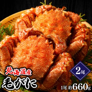 ギフト 送料無料 北海道産 毛ガニ 1尾 660g×2尾 / お年賀 冬ギフト 海鮮 蟹 かに カニ 毛蟹 毛がに 北海道直送 毛ガニ 新鮮 内祝い 自宅