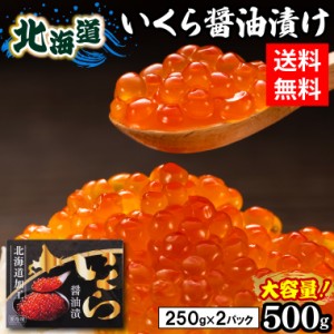 ギフト 送料無料 いくら醤油漬け（500g）/ 北海道産 イクラ 贈答用 新鮮 自宅用 大量 いくら丼 味付き 魚卵