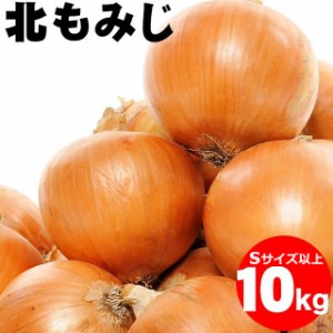 玉ねぎ 10kg 送料 無料の通販｜au PAY マーケット