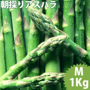 今季出荷中 送料無料 北海道産グリーンアスパラ(Mサイズ 1kg) / アスパラ あすぱら アスパラガス グリーンアスパラ 北海道産 北海道直送 