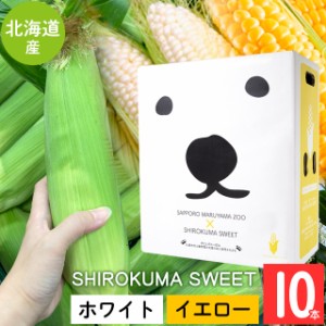 2024年 予約受付中 8月頃出荷開始 とうもろこし 北海道 送料無料 SHIROKUMA SWEET 北海道産 イエローコーン＆ホワイトコーン 10本（各5本