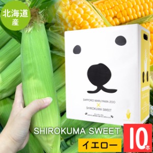 2024年 予約受付中 8月頃出荷開始 とうもろこし 北海道 送料無料 SHIROKUMA SWEET 北海道産 イエローコーン 10本 / 味来 ゴールドラッシ