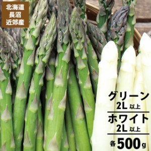 今季出荷開始中 送料無料 北海道長沼近郊産 グリーンアスパラ(2L以上)＆ホワイトアスパラ(2L以上)各500g 合計1kg / 北海道産 道産 １ｋｇ