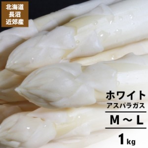 今季出荷開始中 送料無料 北海道長沼近郊産 ホワイトアスパラ(M〜L)1kg / 北海道産 道産 １ｋｇ １キロ 1ｋｇ アスパラ アスパラガス ホ