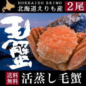 父の日 ギフト カニ 蟹 送料無料 北海道産 えりも活蒸し毛蟹２尾（１尾：約400〜430g） / 父の日ギフト プレゼント 贈り物 えりも産 国産