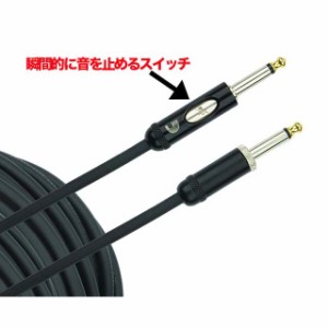 D'addario ケーブル PW-AMSK-10（3.04m） American Stage Kill Switch Cable〈ダダリオ〉