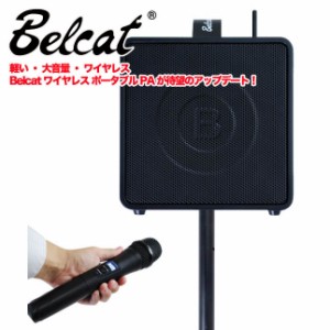 Belcat BWPA-30W (チャンネル選択対応モデル) 簡易型PAシステム〈ベルキャット〉