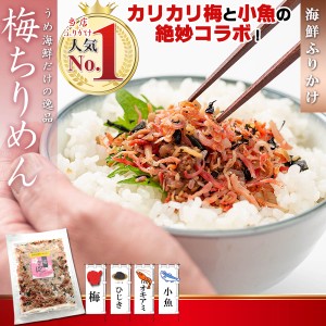 【送料無料】 ふりかけ 梅ちりめん ( カリカリ梅 使用 梅入り ソフトふりかけ ）85g×3個 小魚 海鮮 珍味 【 ご飯のお供 おつまみ お茶漬