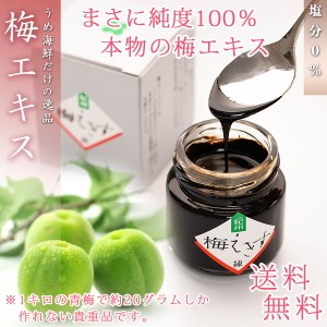 【送料無料】 梅肉エキス 国産 紀州南高梅使用 ( 55g 練りタイプ 無添加 塩分0%  ) 梅エキス 【 和歌山紀州産の青梅果汁をたっぷり時間を