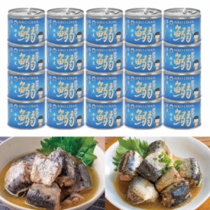 イワシ缶詰 国産 いわし 缶詰 20缶 鰯 水煮 缶切り不要 おかず 惣菜 ご飯のお供 おつまみ 長期保存 防災 備蓄 非常食 保存食 常温保存