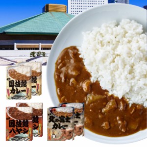 大相撲カレー 2食 レトルト 国技館カレー 国技館ハヤシ 北の富士カレー【代金引換不可】