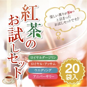 【澤井珈琲】　紅茶のお試しセット（メール便/ティーバッグ/紅茶／同梱不可）
