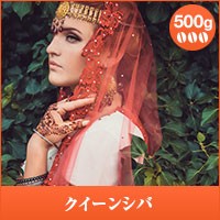 【澤井珈琲】クイーンシバ 500g入袋 （コーヒー/コーヒー豆/珈琲豆）