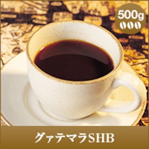 【澤井珈琲】グァテマラSHB-Guatemala SHB- 500g袋  （コーヒー/コーヒー豆/珈琲豆）
