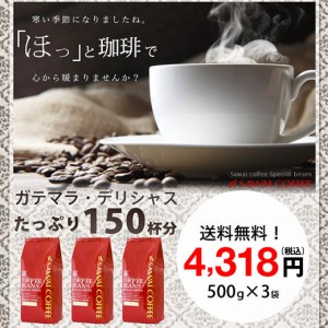 【澤井珈琲】　送料無料！コーヒー専門店の150杯分入り超大入ガテマラコーヒー福袋（コーヒー/コーヒー豆/珈琲豆）