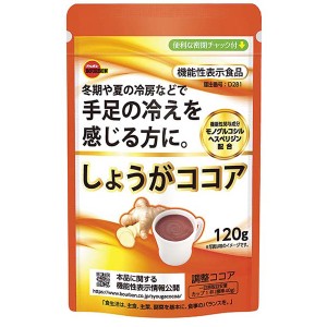 送料無料 しょうがココア 120g ブルボン 機能性表示食品ｘ１０袋セット/卸