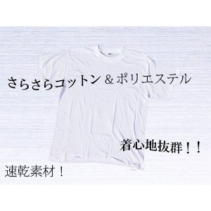 白無地Tシャツ Ｌサイズｘ3枚 速乾 ピッチリ/送料無料メール便/ポイント消化