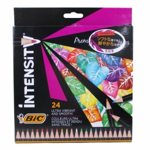 色鉛筆 Intensity 24色 Bicジャパン ITS-WDCCPPK24/1325ｘ２個セット/卸